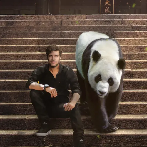 Viva La Panda
