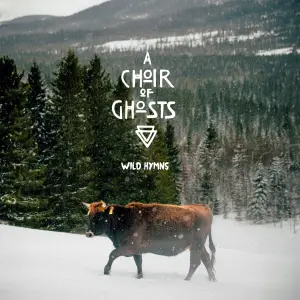 Wild hymns cover art