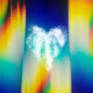 fia cover art