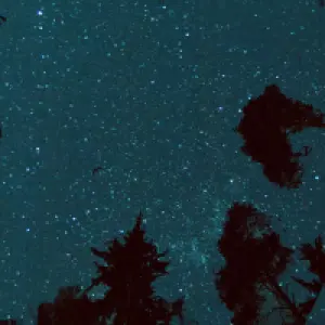 Starlit Sky cover art