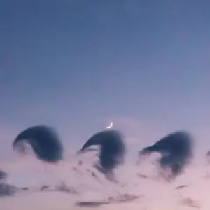 Twilight Harmony cover art
