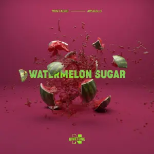 Watermelon Sugar  cover art