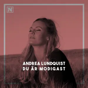 Du är Modigast cover art