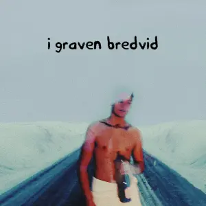 I graven bredvid cover art