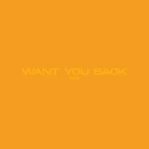 Want You Back cover art