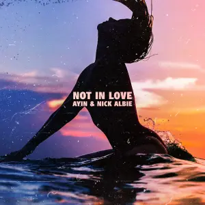 Not In Love cover art