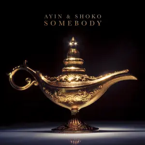 Somebody cover art