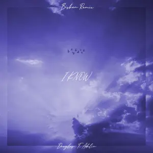 I Know (Bisken Remix) cover art