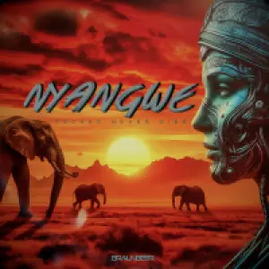 Nyangwe cover art
