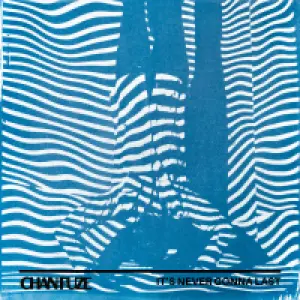 It’s Never Gonna Last cover art