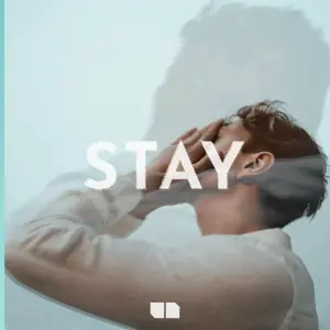 Stay cover art