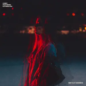 Why Is It Goodbye cover art
