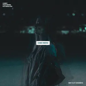 Why Is It Goodbye (Ched Remix) cover art