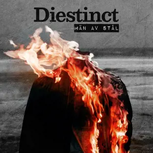 Män av stål cover art