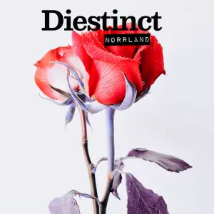 Norrland cover art