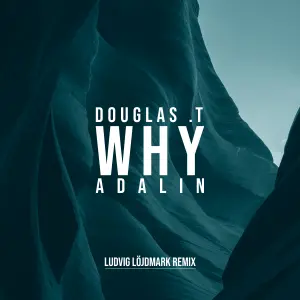 Why (Ludvig Löjdmark Remix) cover art