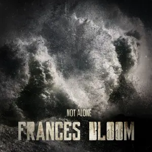 Not Alone cover art