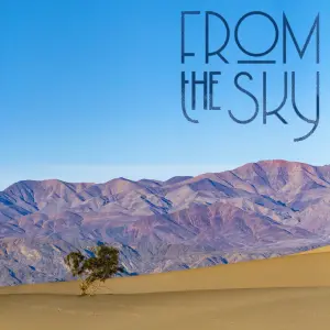 From The Sky cover art