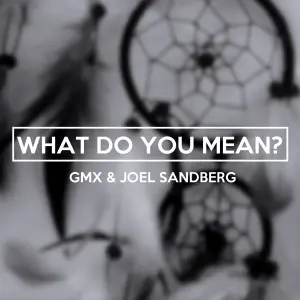 What Do You Mean? cover art