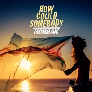How Could Somebody cover art