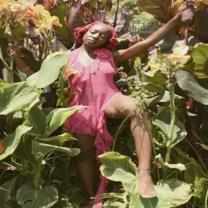 Rooted cover art