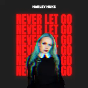 Never Let Go cover art