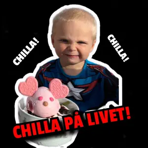 Chilla på livet cover art