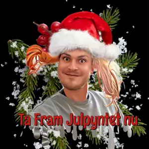 Ta fram julpyntet nu cover art