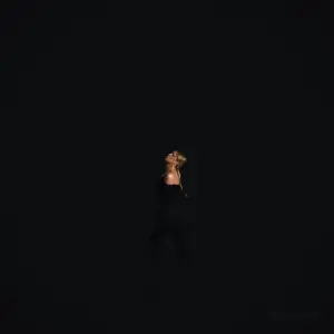 Words cover art