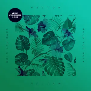 Hold You Back (Jonny Weckenberg Remix) cover art