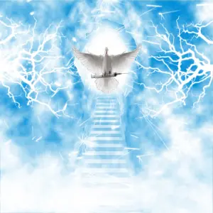 Injicera cover art