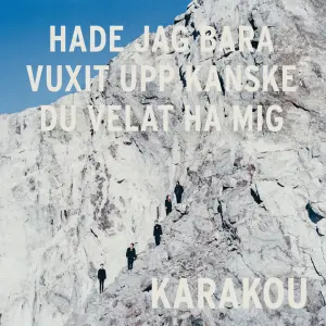 Hade jag bara vuxit upp kanske du velat ha mig  cover art