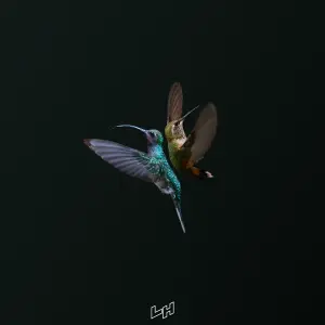 Product of the Wild cover art