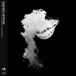 Release Control cover art