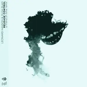 Release Control (a friend of mine Remix) cover art