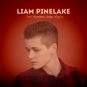 Det Kommer Inga Änglar cover art
