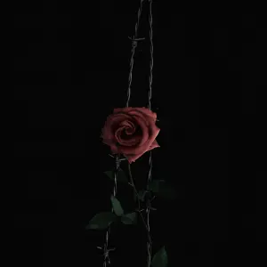 Be Your Love cover art