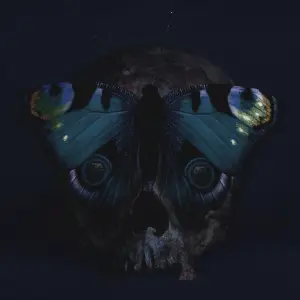 Drown (Your Echo) cover art