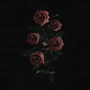 Roses In The Concrete cover art