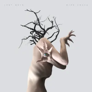 Wide Awake cover art
