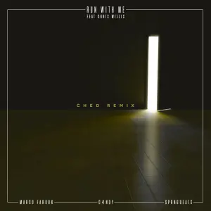Run With Me (Ched Remix) cover art