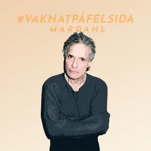 #Vaknatpåfelsida cover art