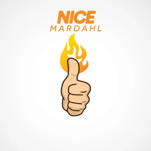 Nice cover art