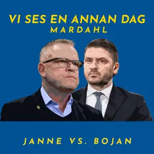 Vi ses en annan dag (Janne vs. Bojan) cover art