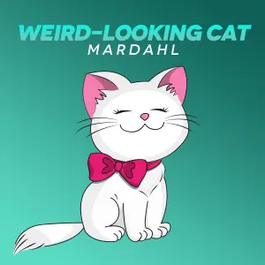 Wierd Looking Cat cover art
