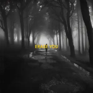 Erase You cover art