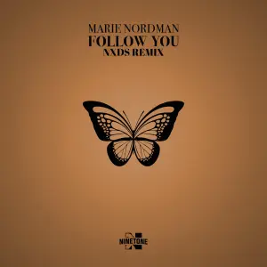 Follow you (NXDS Remix) cover art