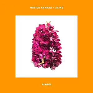 Singel cover art