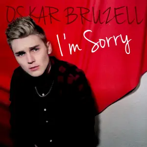 I’m Sorry cover art