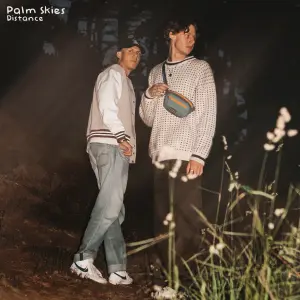 Distance cover art